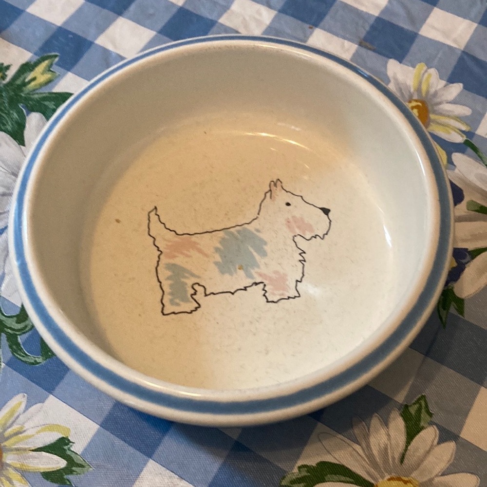 Pet dish - Picture 2 of 3
